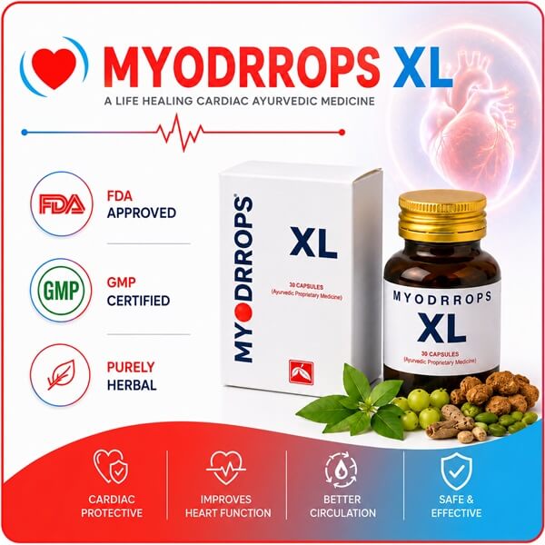MYODRROPS XL, a purely herbal and FDA-approved ayurvedic cardiac medicine offered by Global Heart Foundation in Pune for natural heart healing.