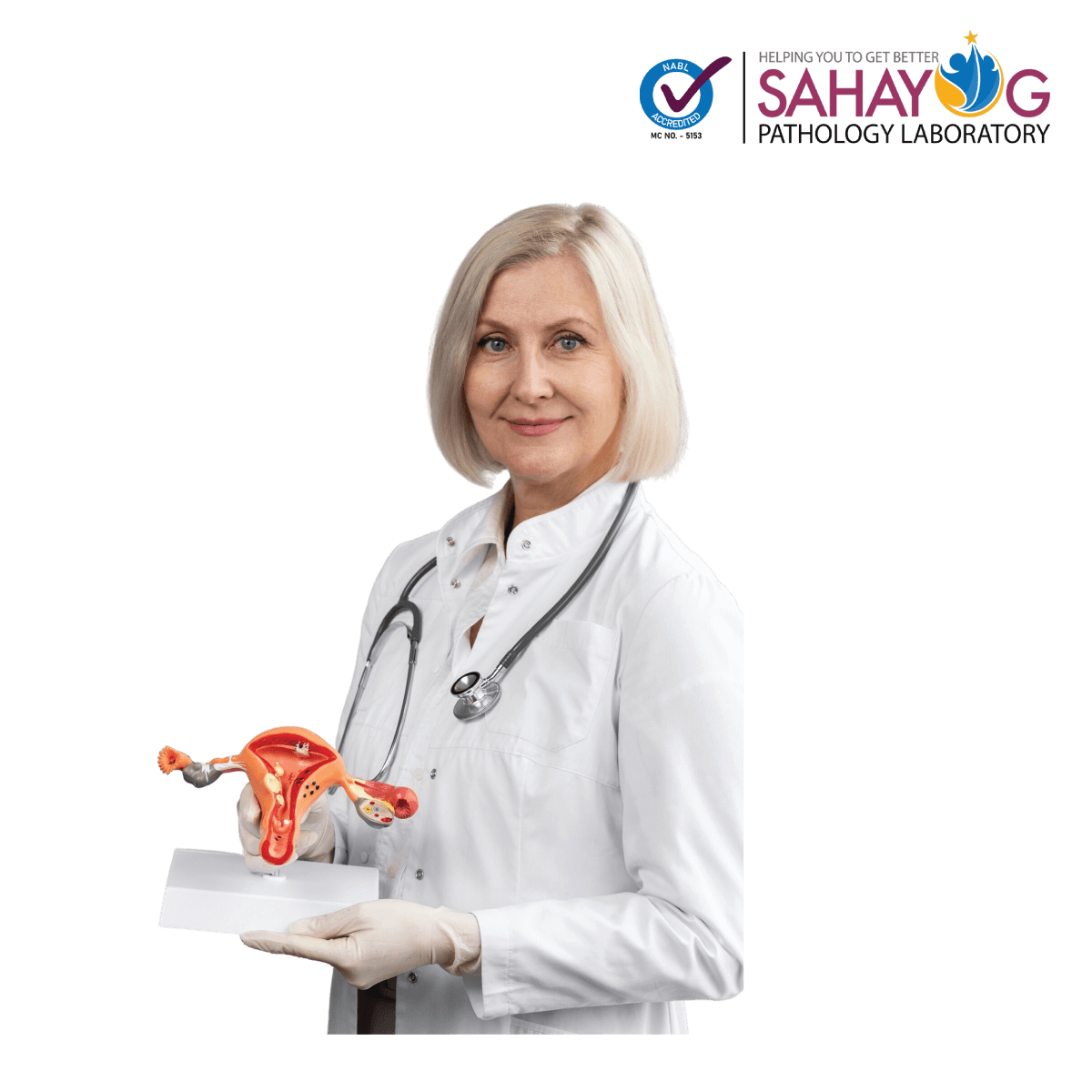 Menopause profile 1